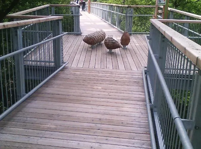 Ferienwohnung-stricker-2-1-typ-b-terrasse Walkenried